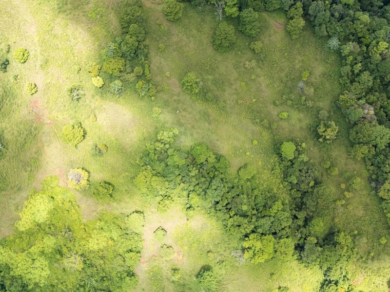0 bed Land For Sale in Sierpe, Puntarenas - hero 8