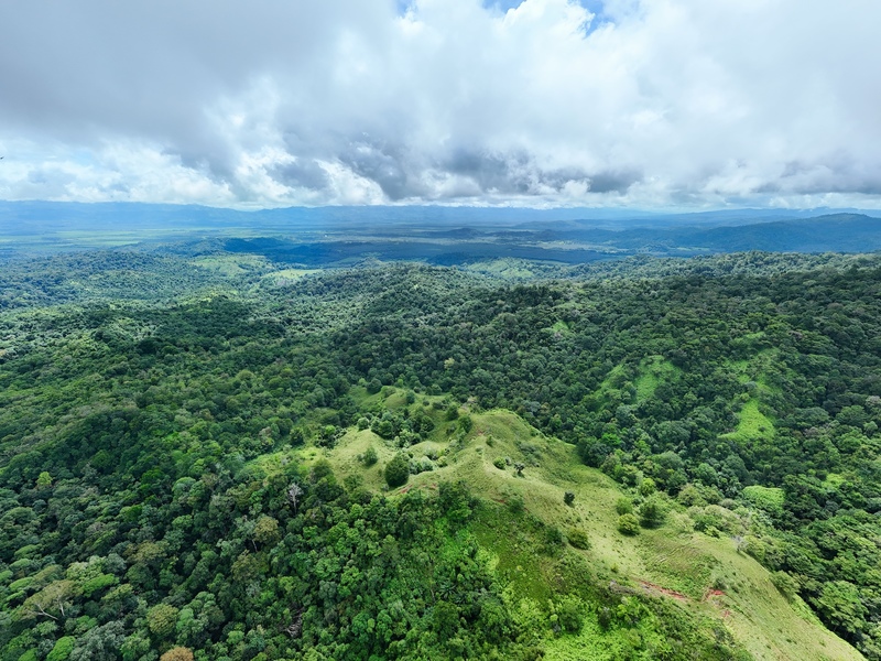 0 bed Land For Sale in Sierpe, Puntarenas - hero 2
