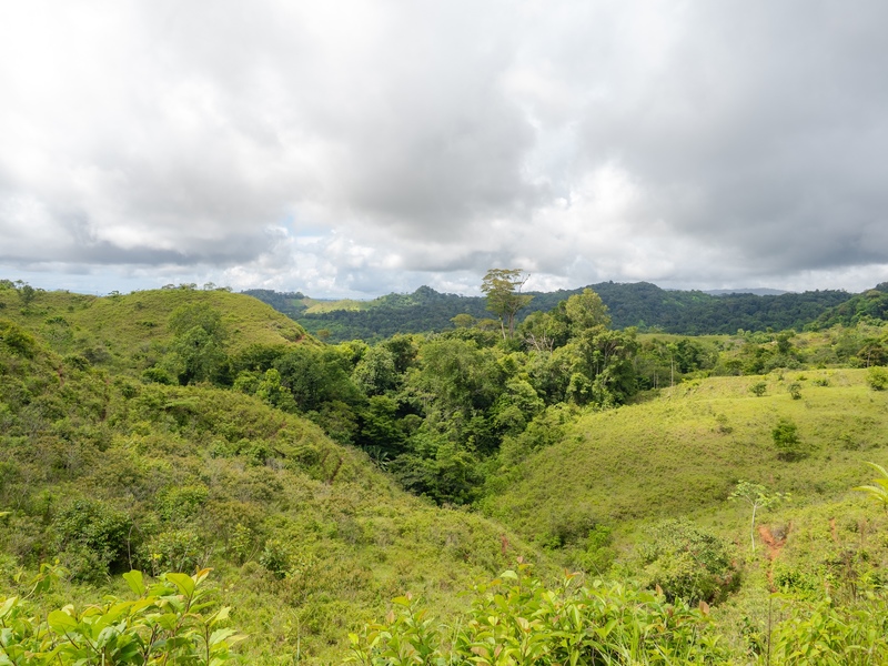 0 bed Land For Sale in Sierpe, Puntarenas - hero 4