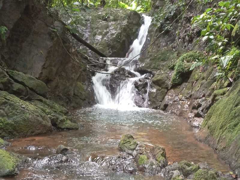 0 bed Land For Sale in Sierpe, Puntarenas - hero 15