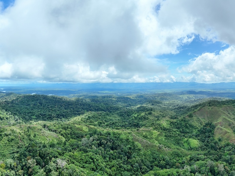 0 bed Land For Sale in Sierpe, Puntarenas - hero 10