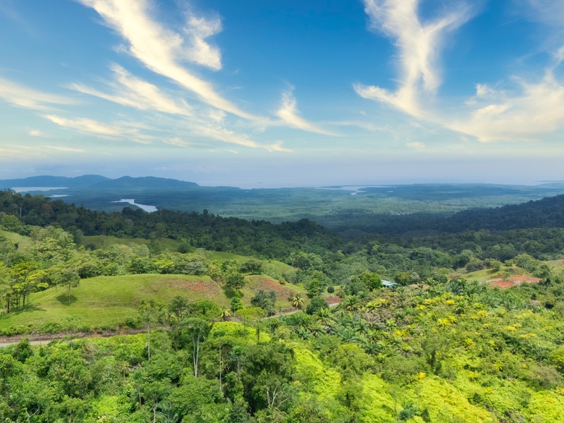 0 bed Land For Sale in Sierpe, Puntarenas - 1