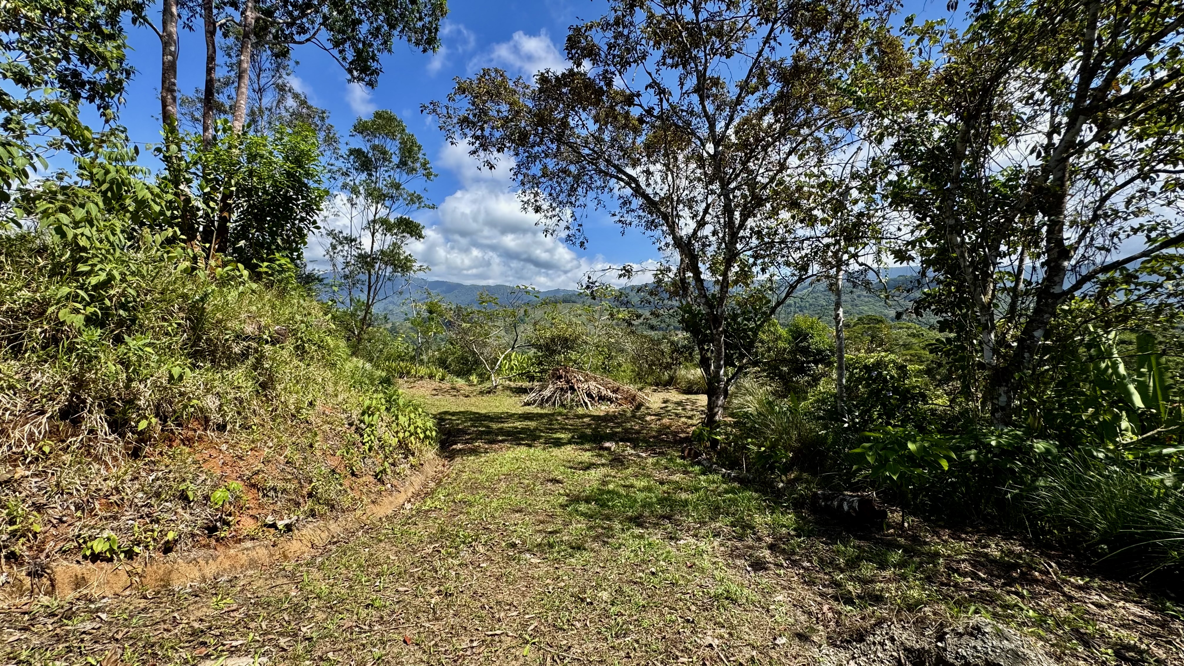 0 bed Land For Sale in Dominical, Puntarenas - thumb 3