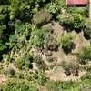  - New 1,4 Acre lot in Platanillo - With Legal Water