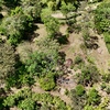  - New 1,4 Acre lot in Platanillo - With Legal Water