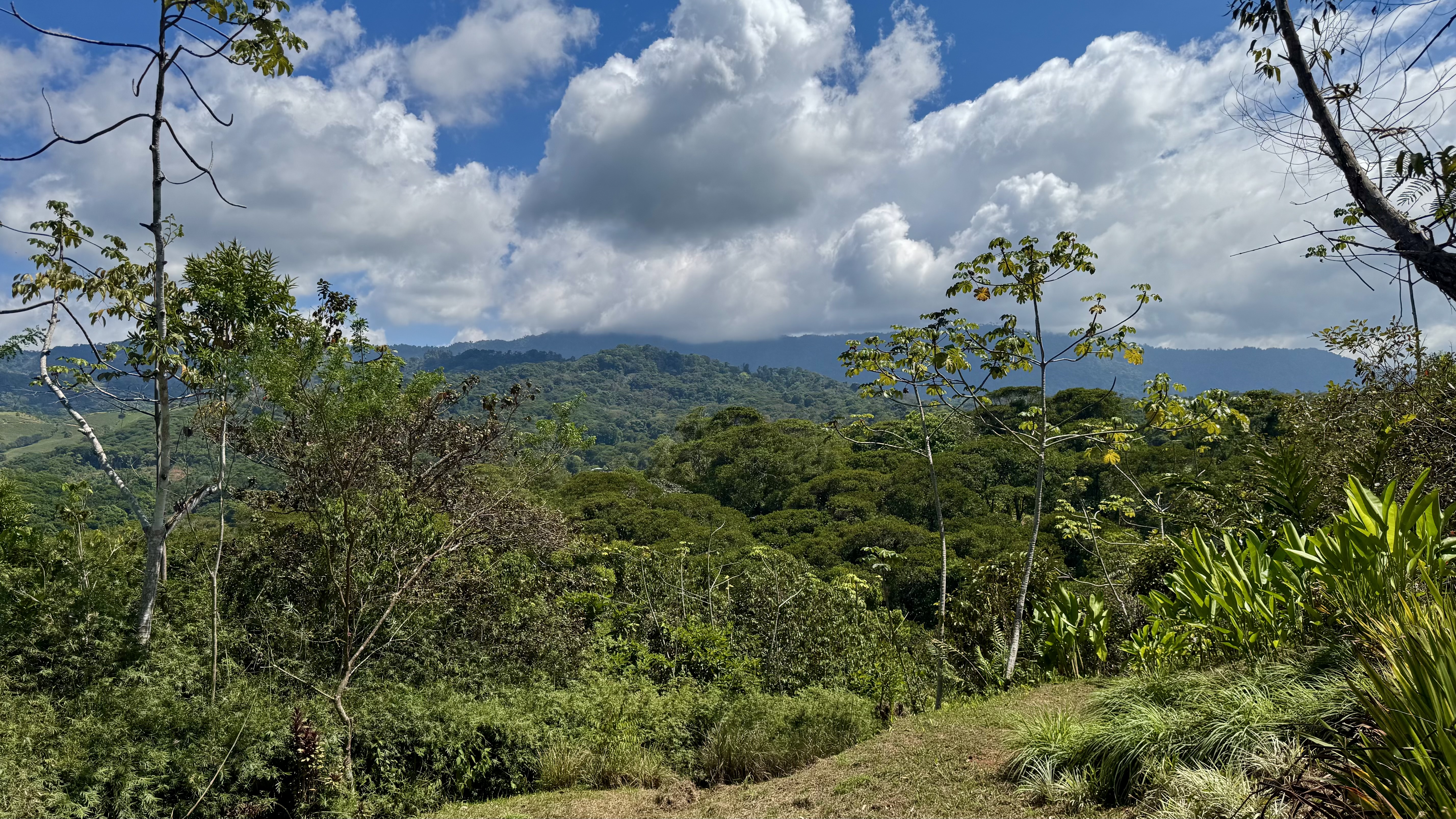0 bed Land For Sale in Dominical, Puntarenas - thumb 6