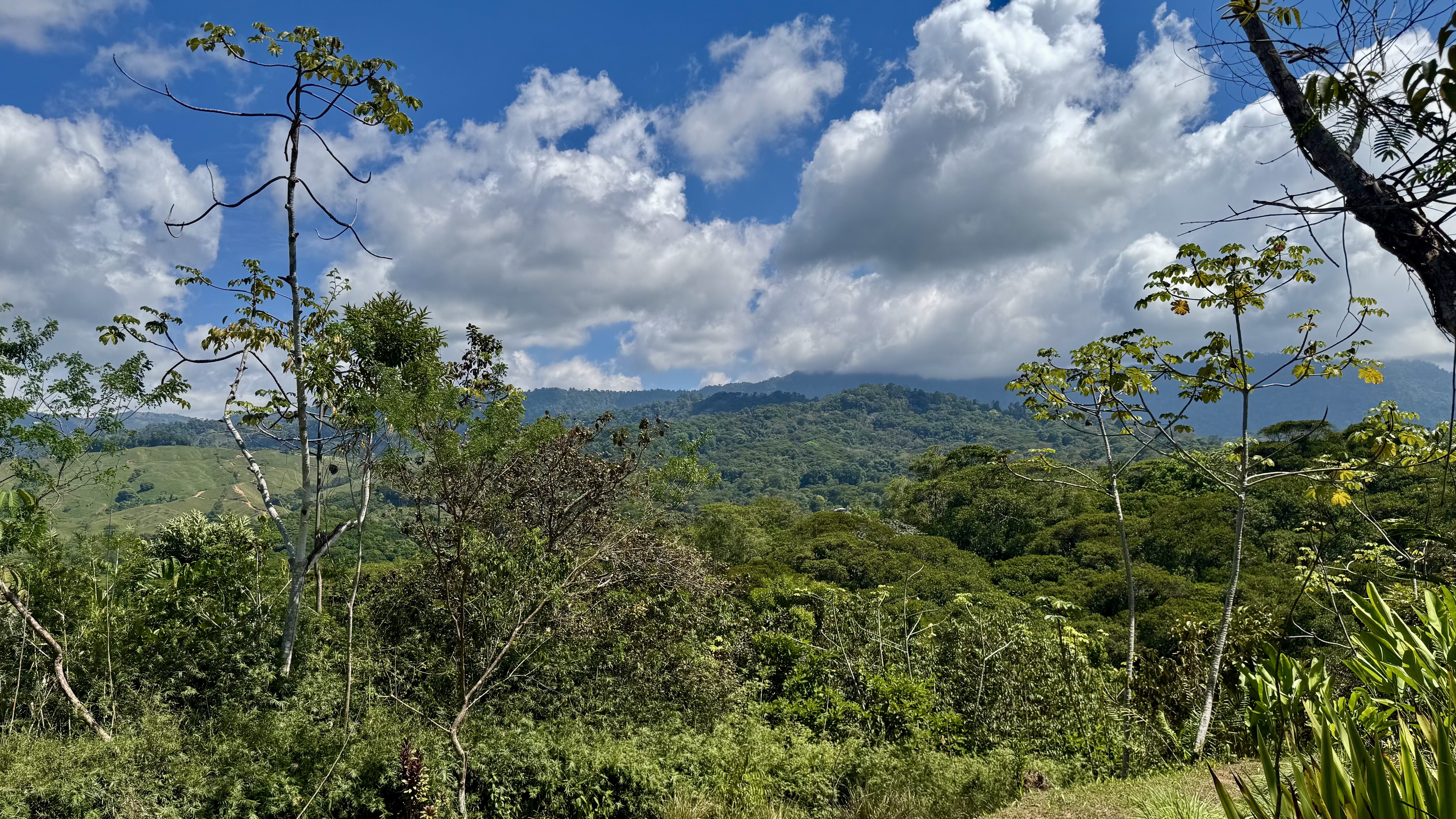0 bed Land For Sale in Dominical, Puntarenas - thumb 5