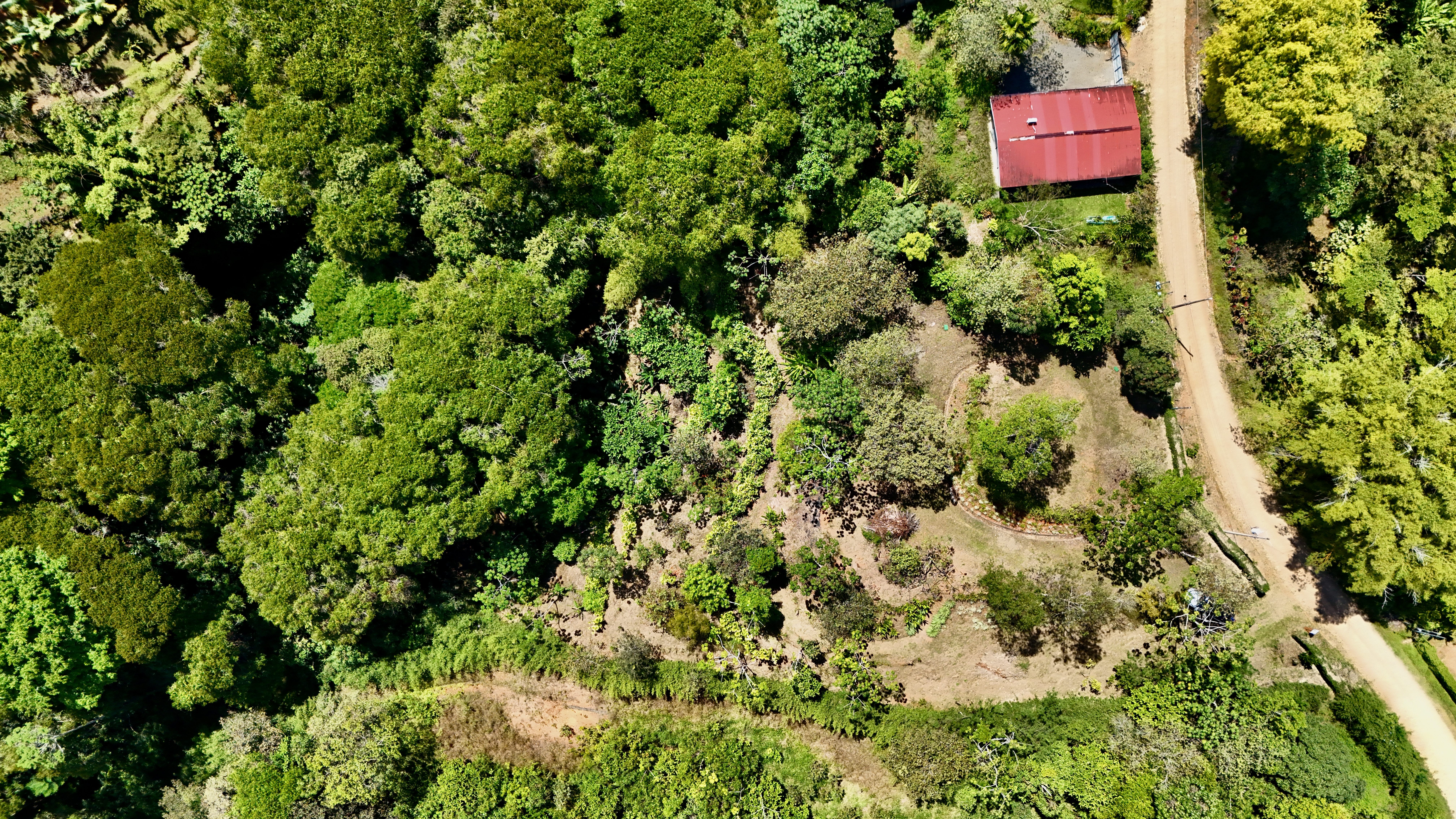 0 bed Land For Sale in Dominical, Puntarenas - thumb 2