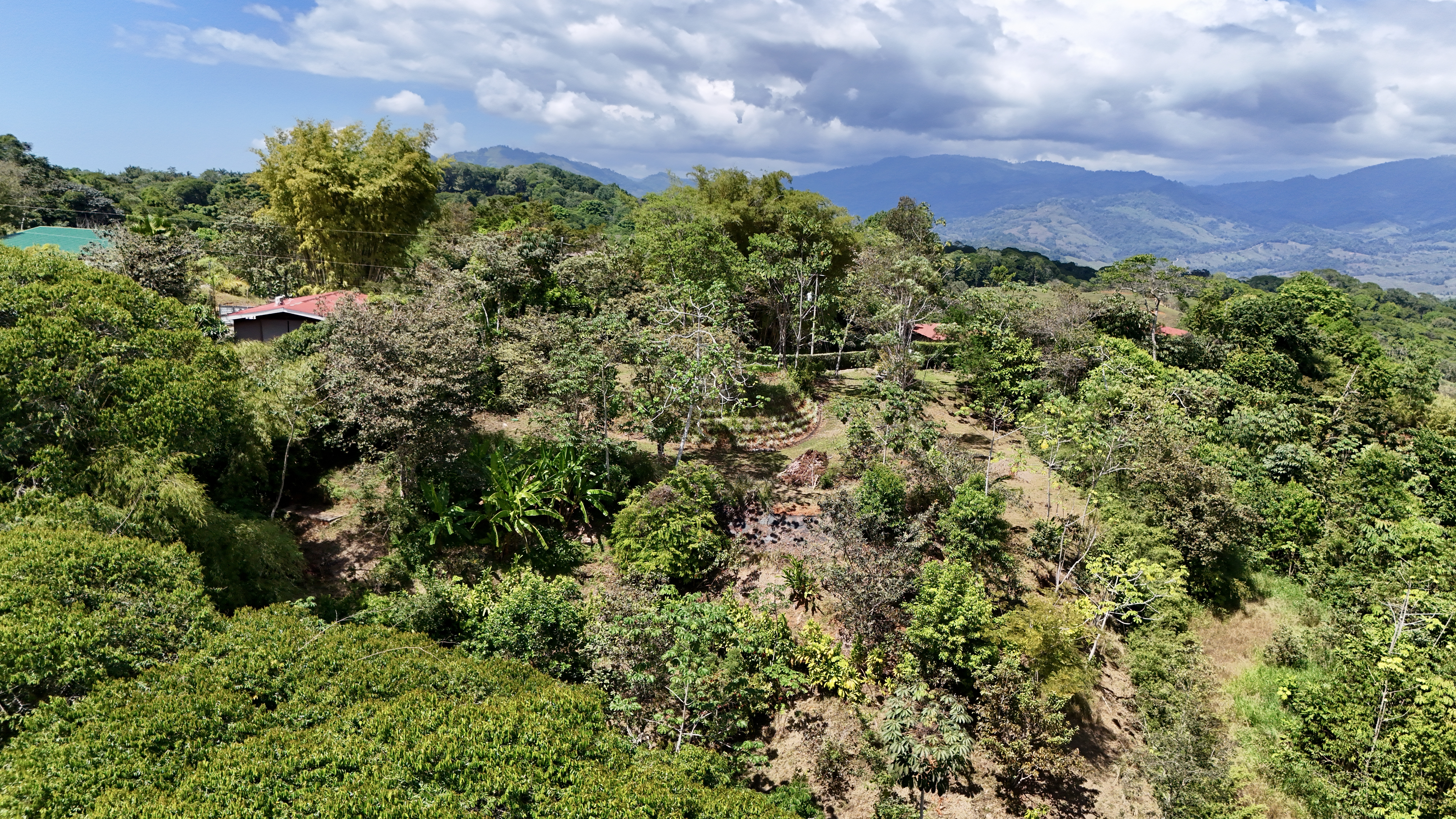 0 bed Land For Sale in Dominical, Puntarenas - thumb 9