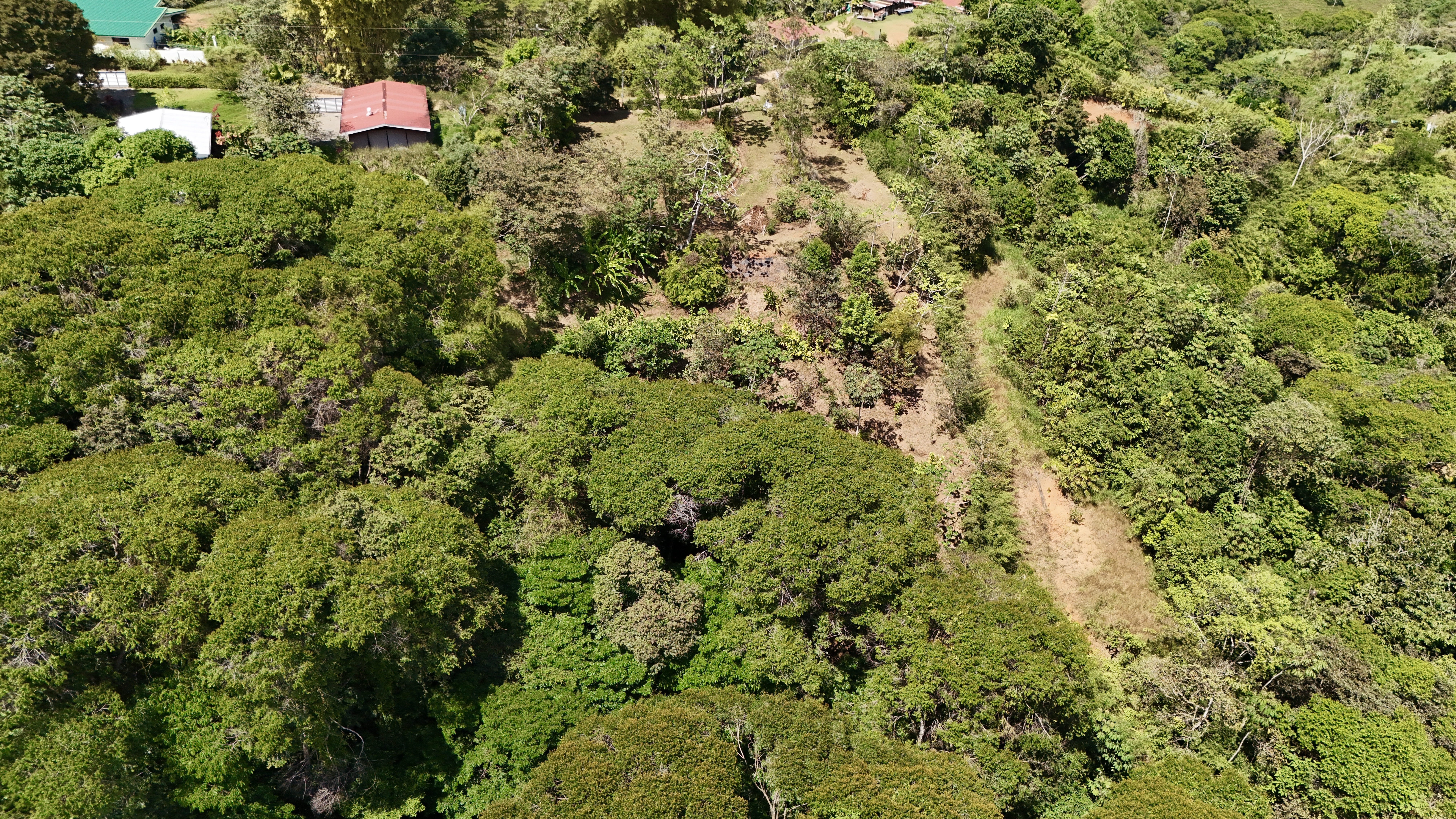 0 bed Land For Sale in Dominical, Puntarenas - thumb 8