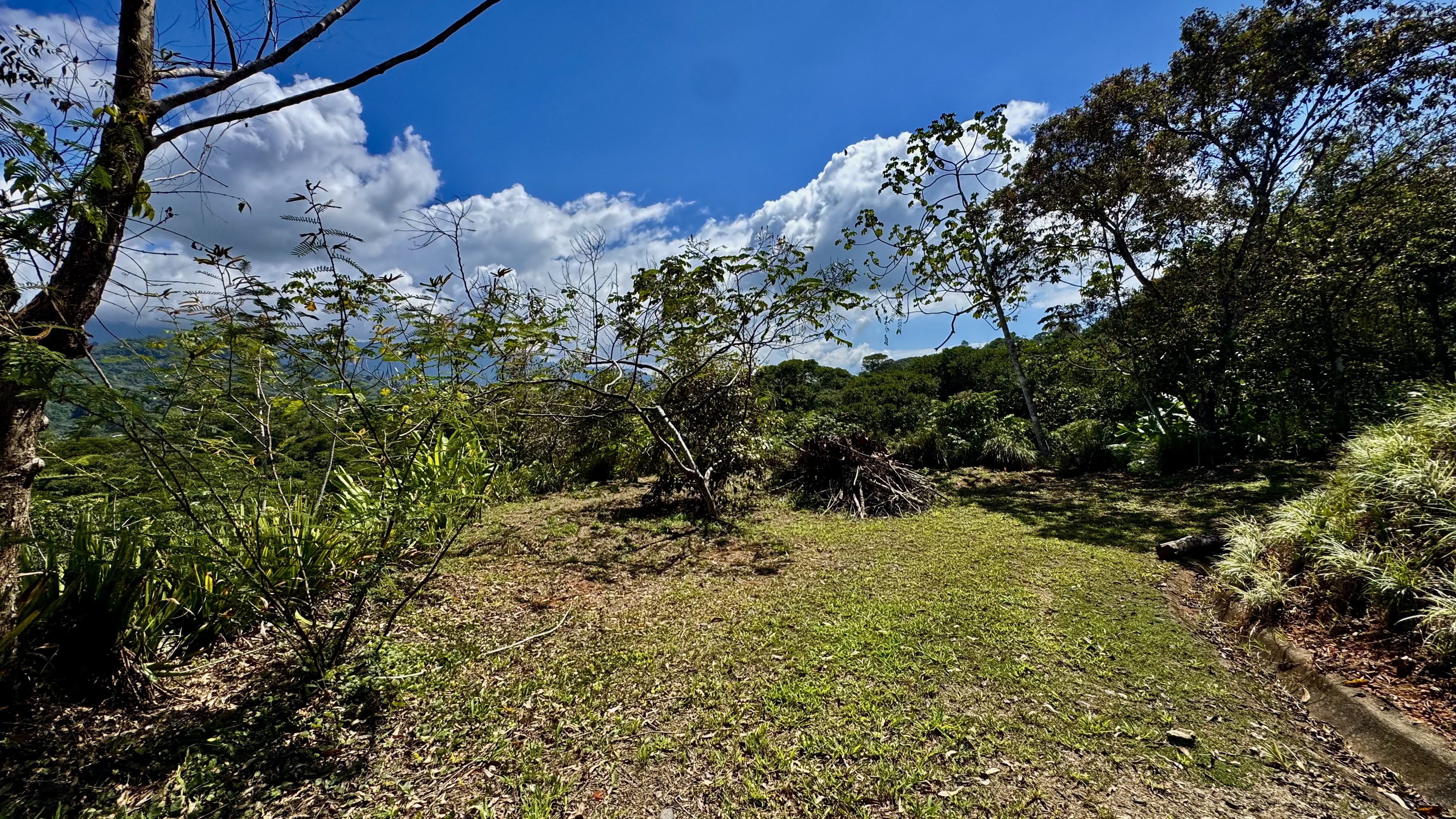 0 bed Land For Sale in Dominical, Puntarenas - thumb 4