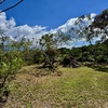 - New 1,4 Acre lot in Platanillo - With Legal Water