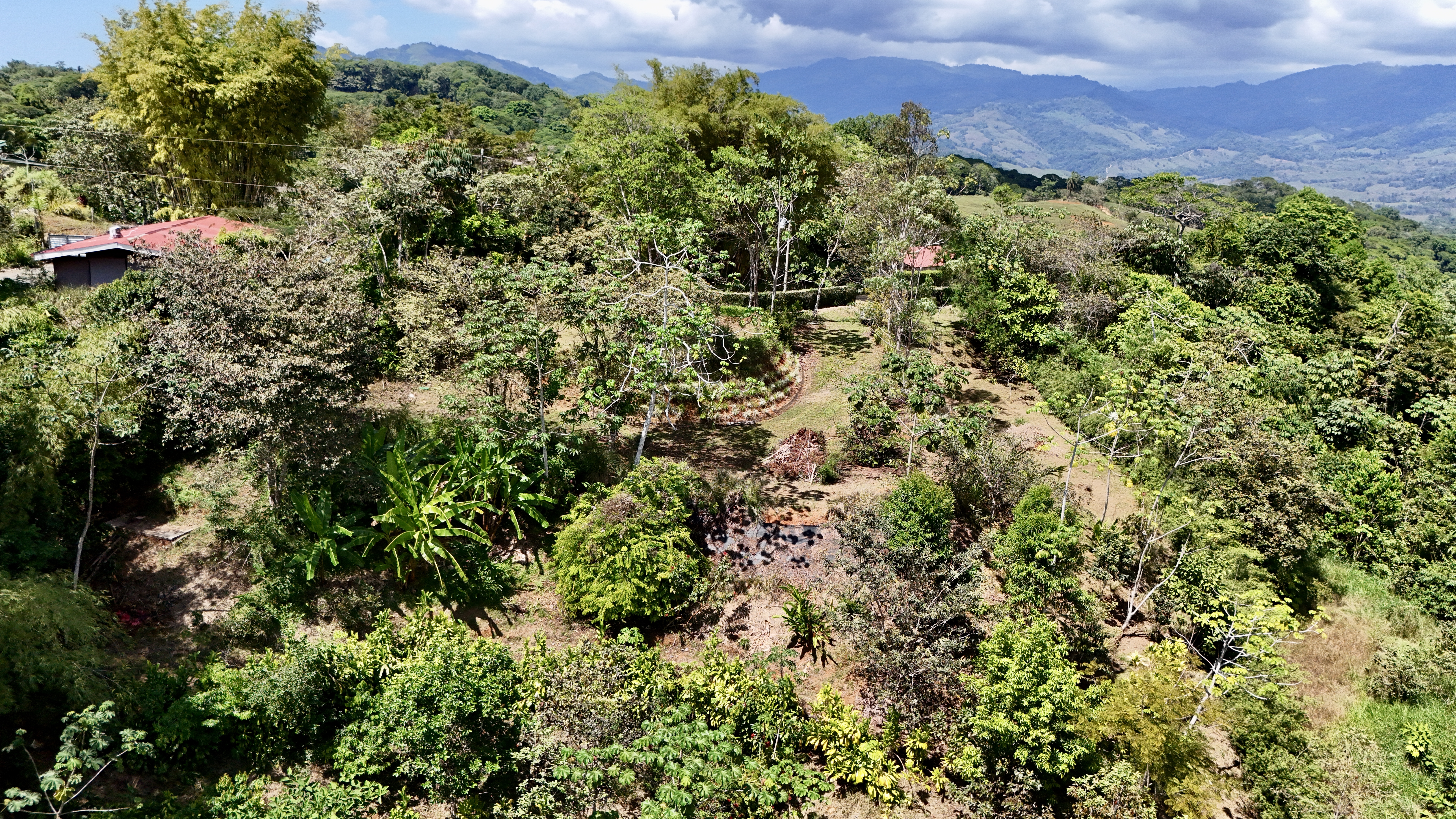 0 bed Land For Sale in Dominical, Puntarenas - thumb 10
