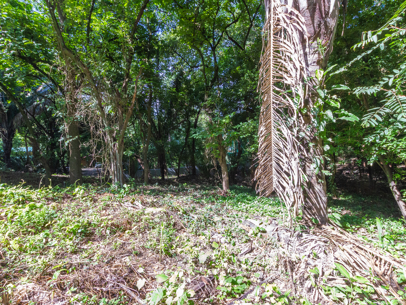 0 bed Land For Sale in Playa Guiones, Guanacaste - hero 7