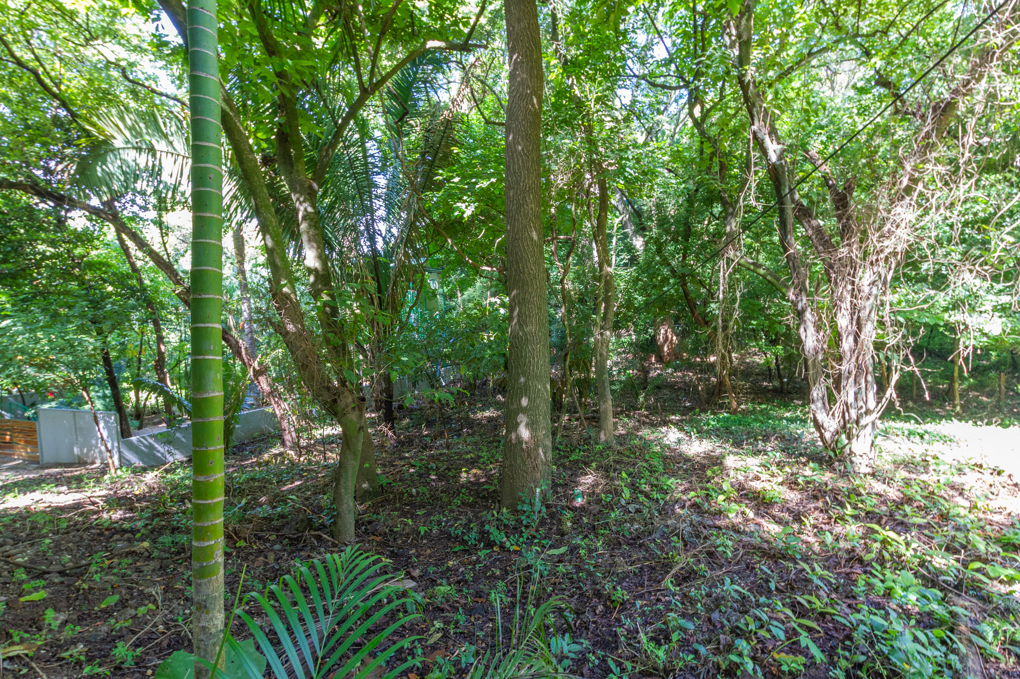 0 bed Land For Sale in Playa Guiones, Guanacaste - thumb 8