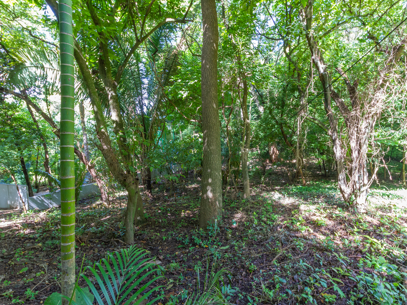 0 bed Land For Sale in Playa Guiones, Guanacaste - hero 8