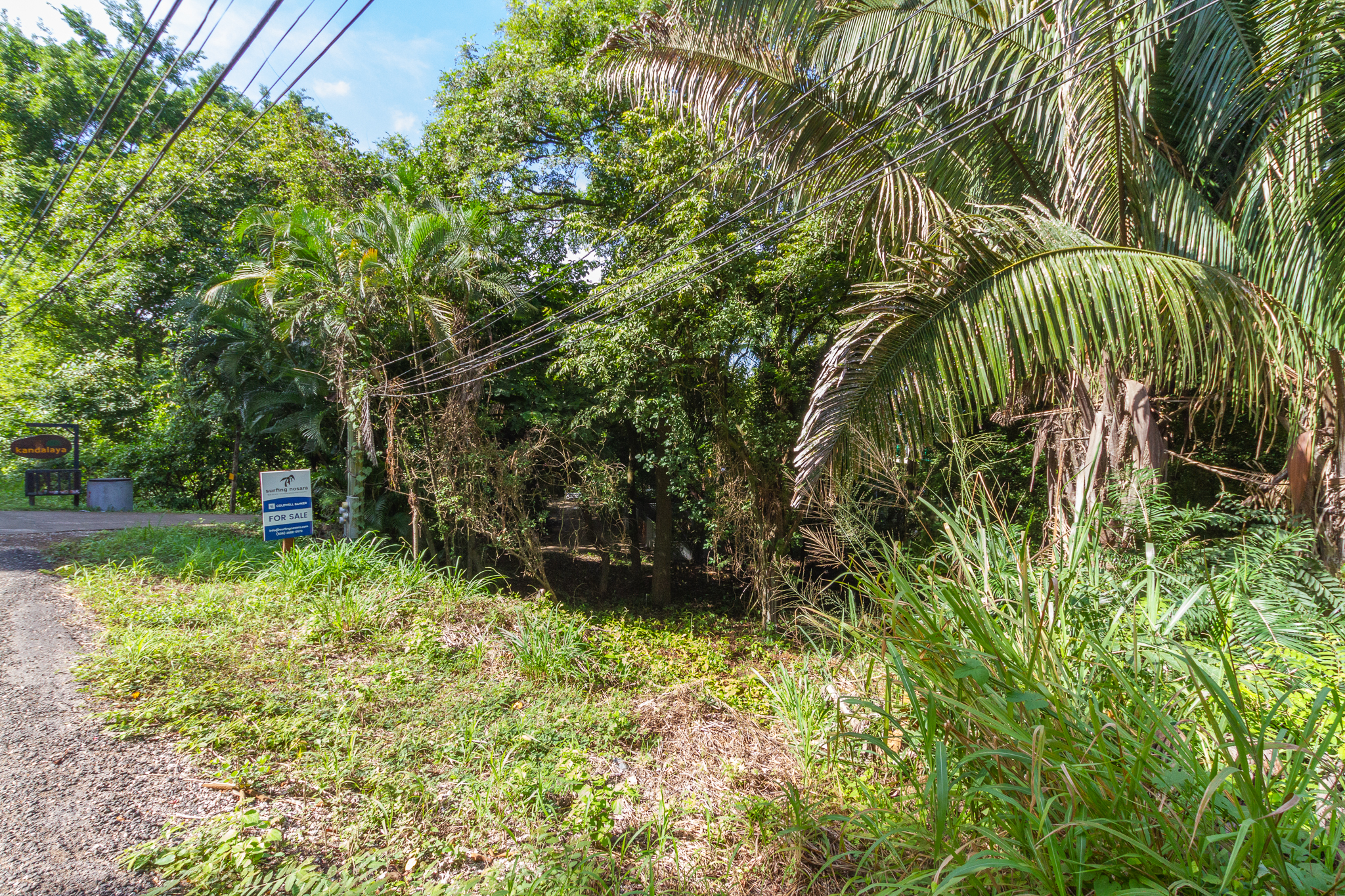 0 bed Land For Sale in Playa Guiones, Guanacaste - thumb 10