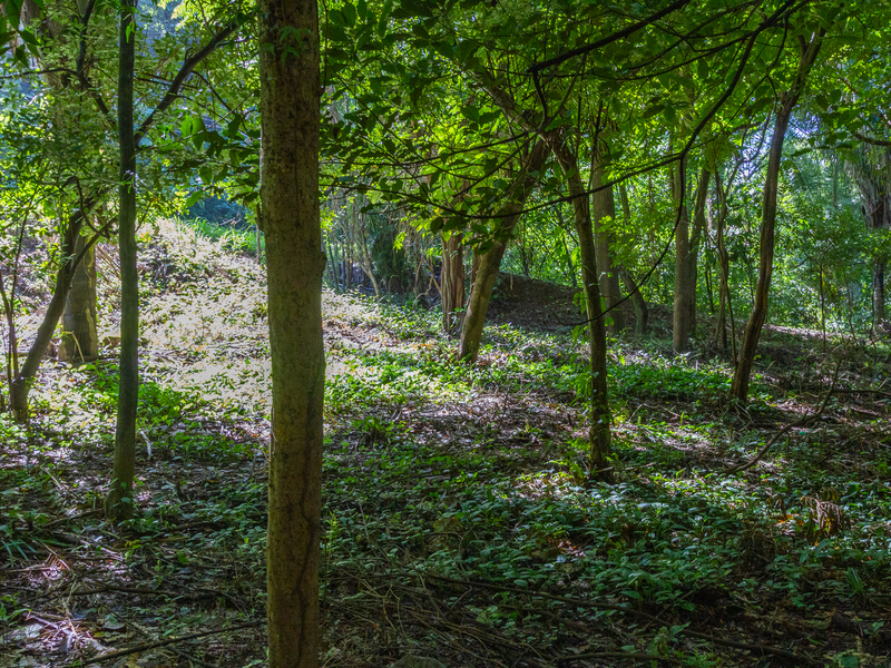 0 bed Land For Sale in Playa Guiones, Guanacaste - 1