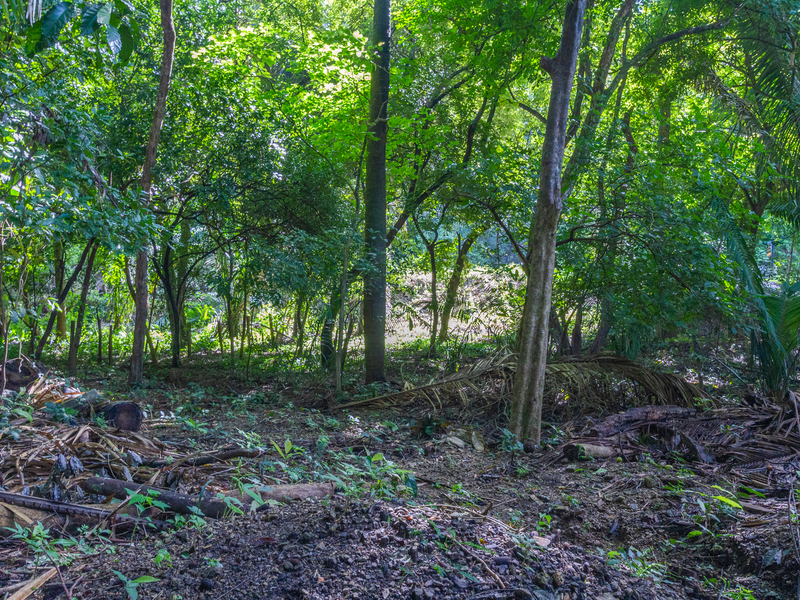 0 bed Land For Sale in Playa Guiones, Guanacaste - hero 3