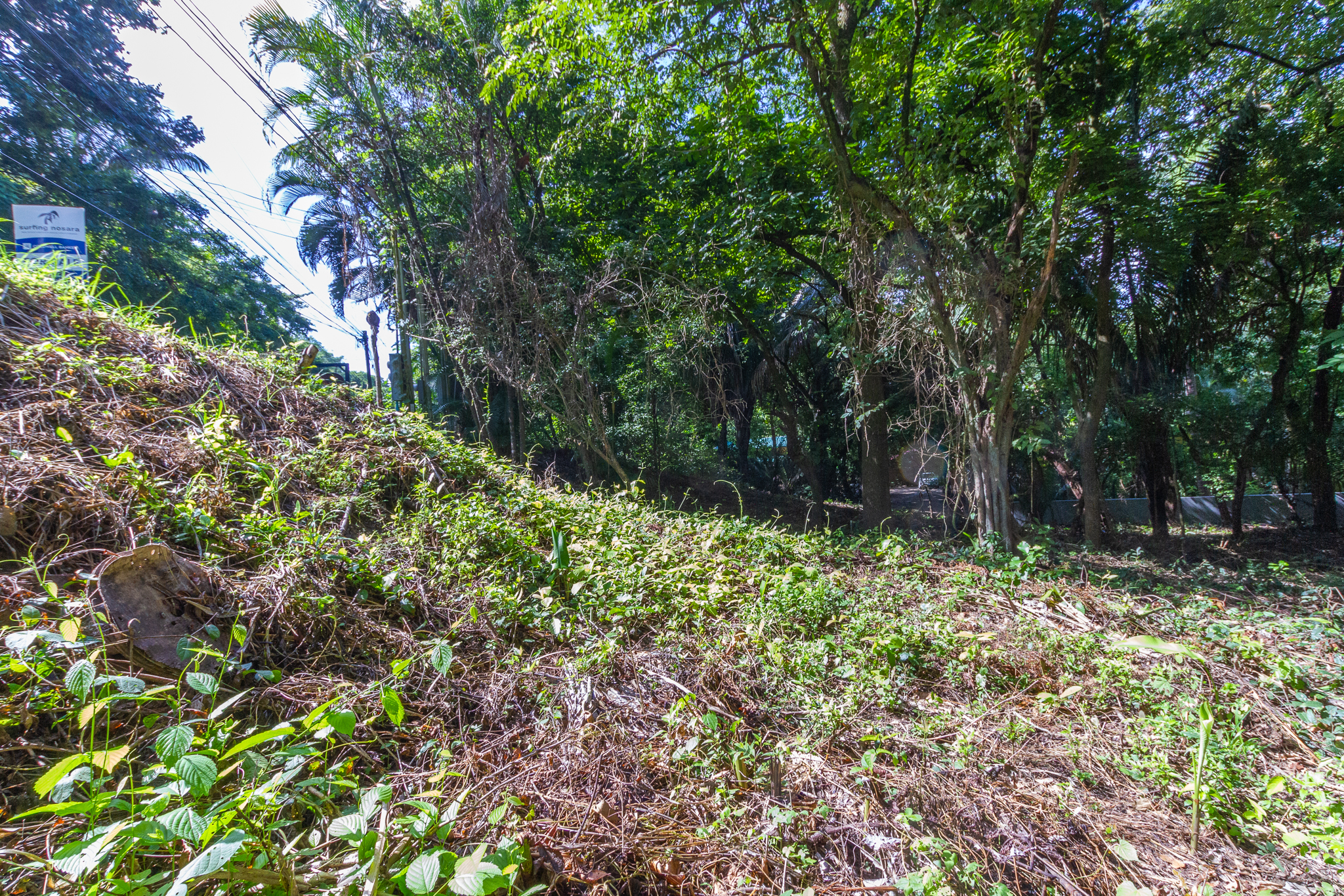 0 bed Land For Sale in Playa Guiones, Guanacaste - thumb 9