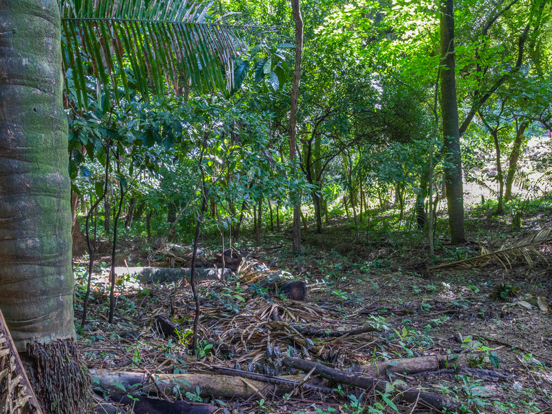 0 bed Land For Sale in Playa Guiones, Guanacaste - hero 2