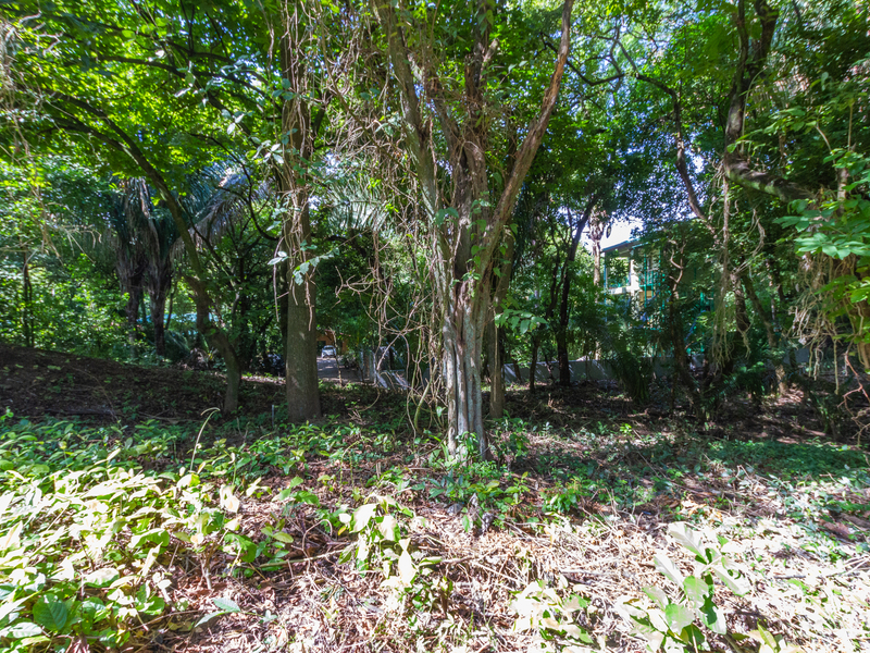 0 bed Land For Sale in Playa Guiones, Guanacaste - hero 6