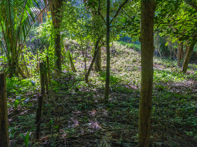 0 bed Land For Sale in Playa Guiones, Guanacaste - hero 4