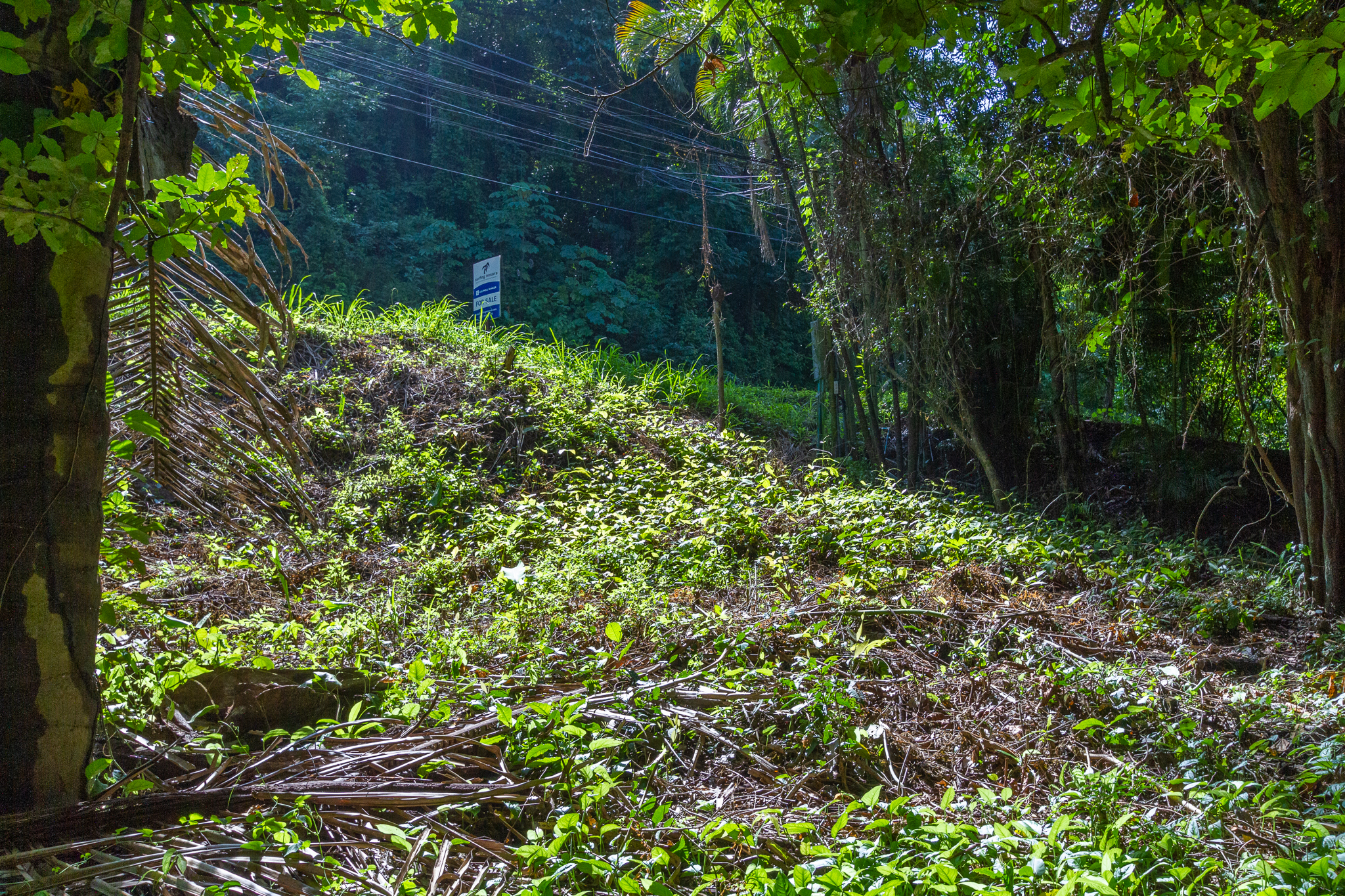 0 bed Land For Sale in Playa Guiones, Guanacaste - thumb 5
