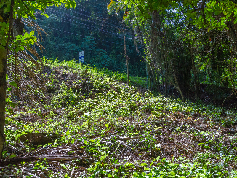 0 bed Land For Sale in Playa Guiones, Guanacaste - hero 5