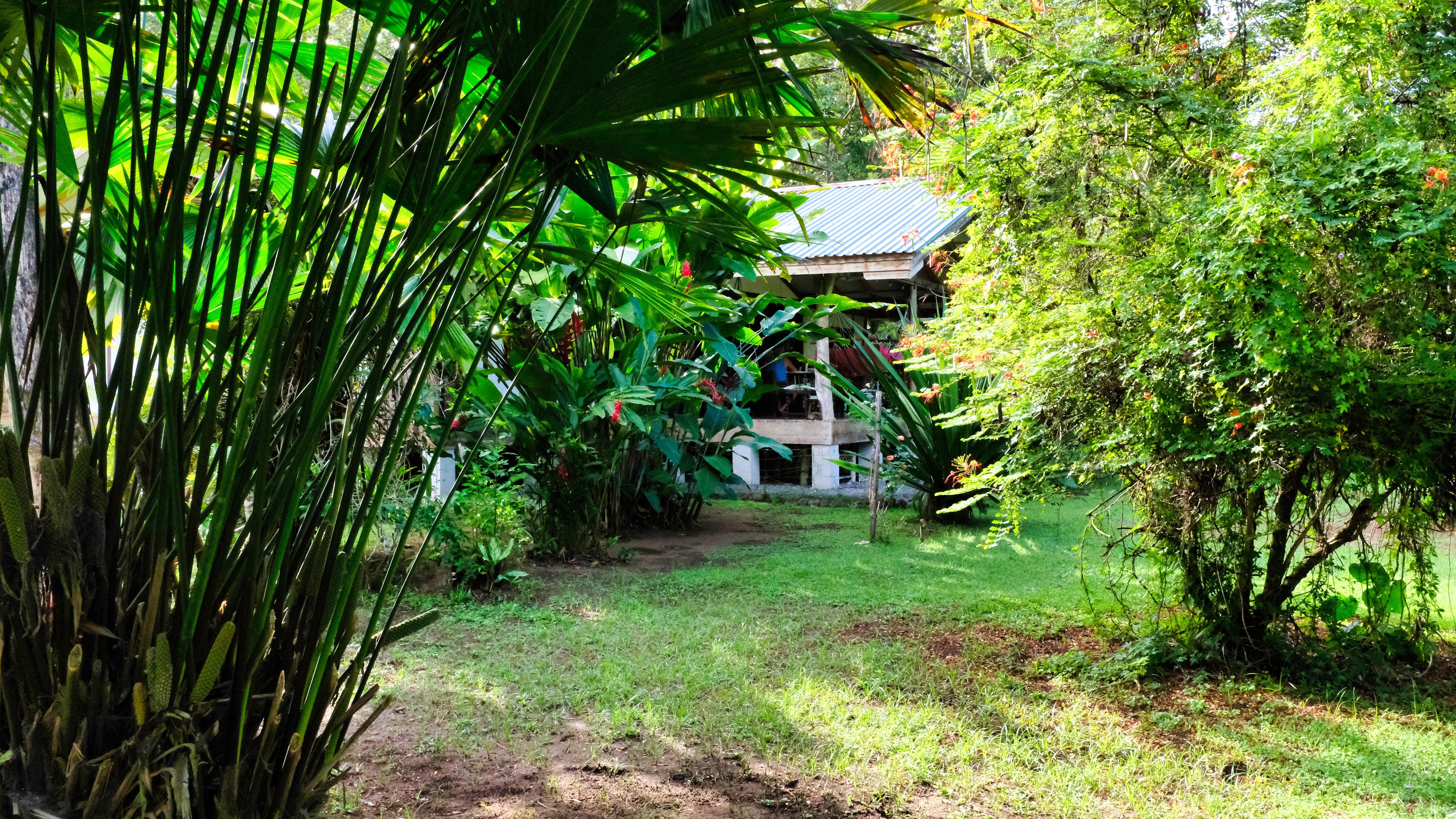 4 bed Single Family Homes For Sale in Cahuita, Limón - thumb 7