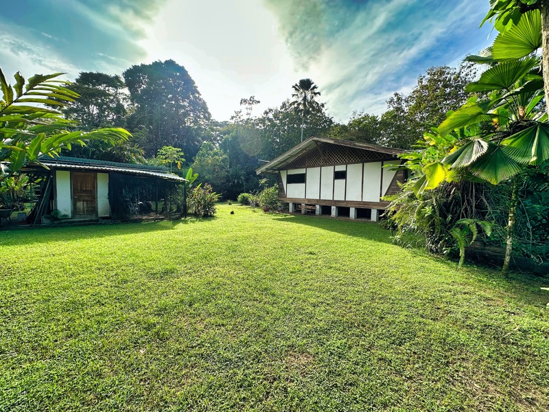 4 bed Single Family Homes For Sale in Cahuita, Limón - hero 5