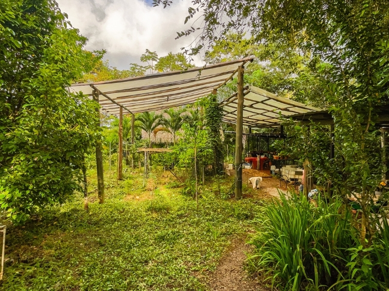 2 bed Single Family Homes For Sale in Cobano, Puntarenas - hero 4