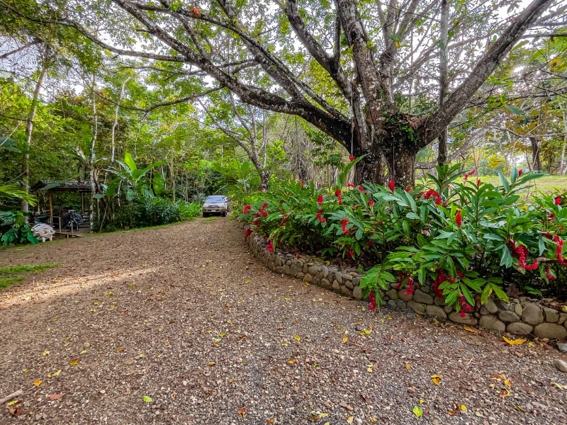 2 bed Single Family Homes For Sale in Cobano, Puntarenas - hero 3