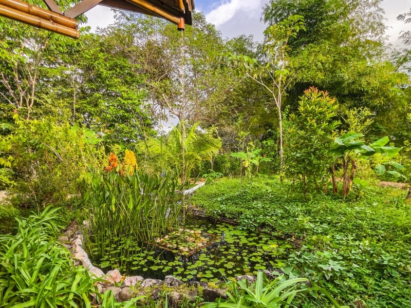 2 bed Single Family Homes For Sale in Cobano, Puntarenas - hero 5