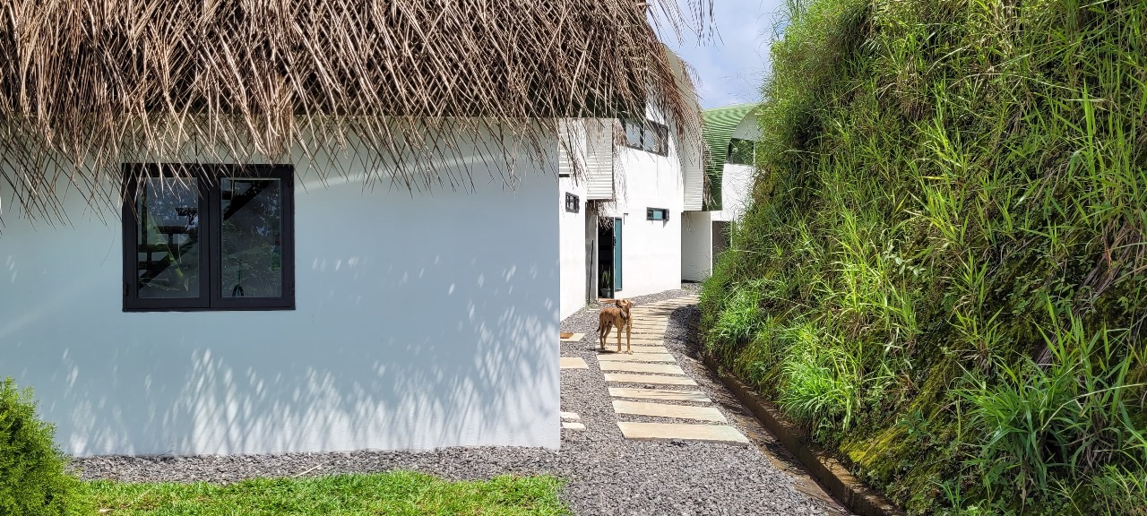 6 bed Hotel / Leisure For Sale in Atenas, Alajuela - thumb 21