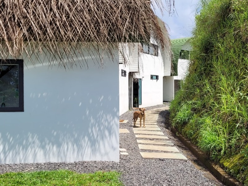 6 bed Hotel / Leisure For Sale in Atenas, Alajuela - hero 21