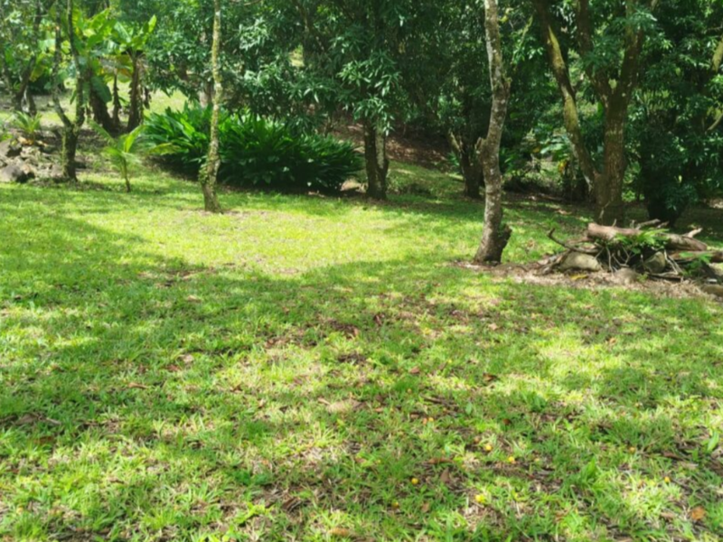 0 bed Land For Sale in Orotina, Alajuela - hero 3