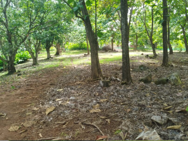 0 bed Land For Sale in Orotina, Alajuela - hero 6