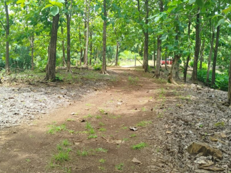 0 bed Land For Sale in Orotina, Alajuela - hero 4
