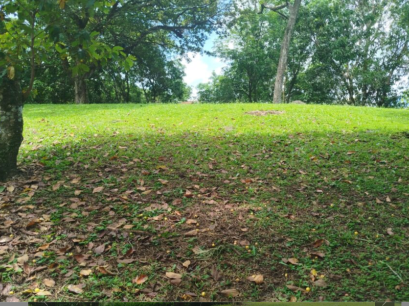 0 bed Land For Sale in Orotina, Alajuela - hero 9