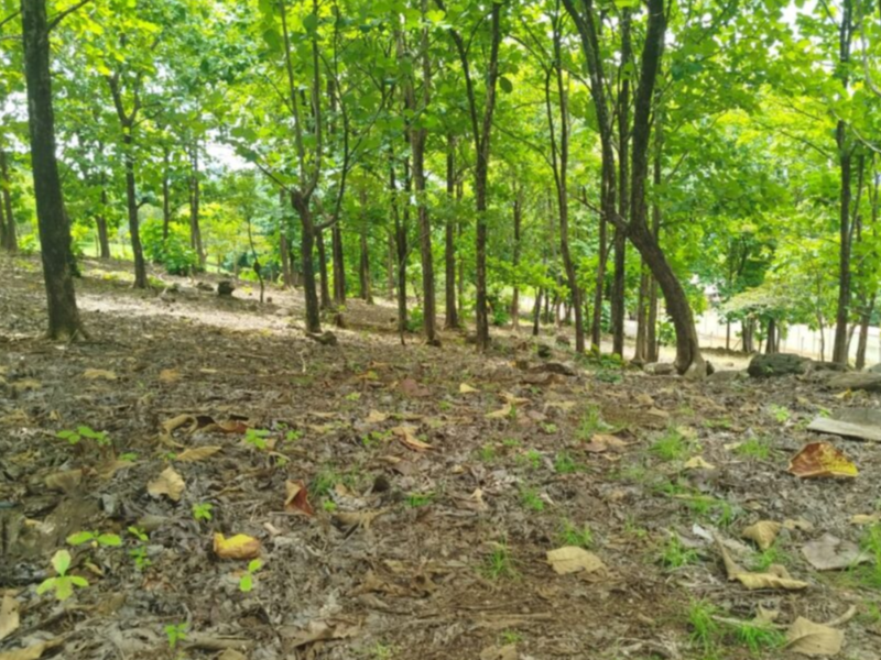 0 bed Land For Sale in Orotina, Alajuela - hero 7