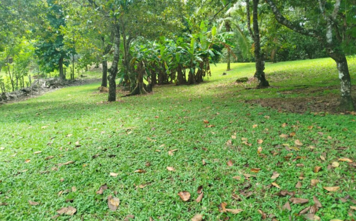 Featured property image