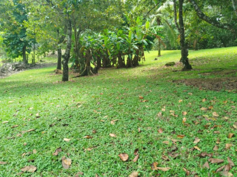 0 bed Land For Sale in Orotina, Alajuela - 1