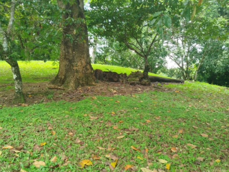 0 bed Land For Sale in Orotina, Alajuela - hero 8
