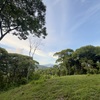 - Your Private Jungle Retreat Just Minutes from Dominical