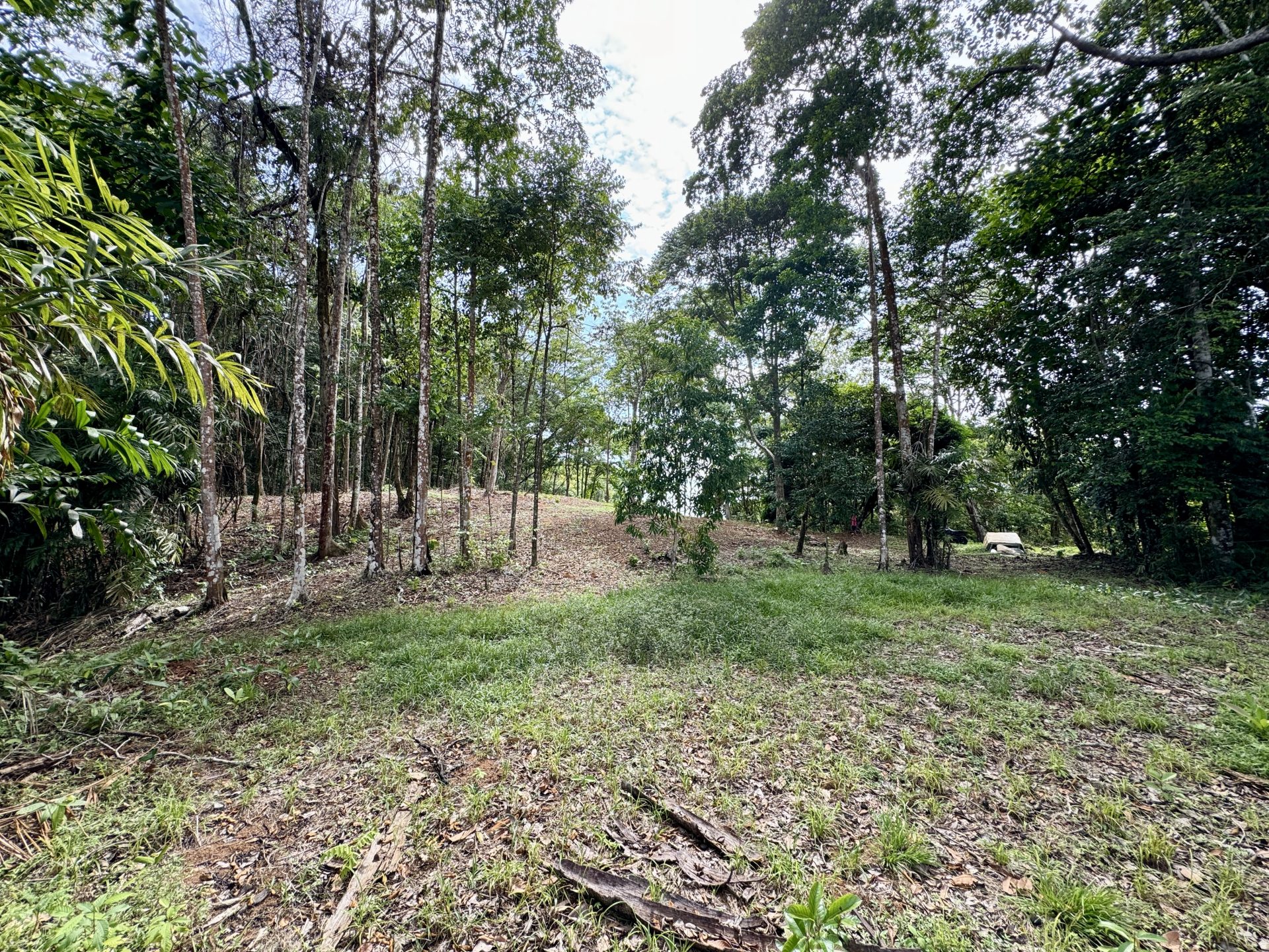 0 bed Land For Sale in Dominical, Puntarenas - thumb 7
