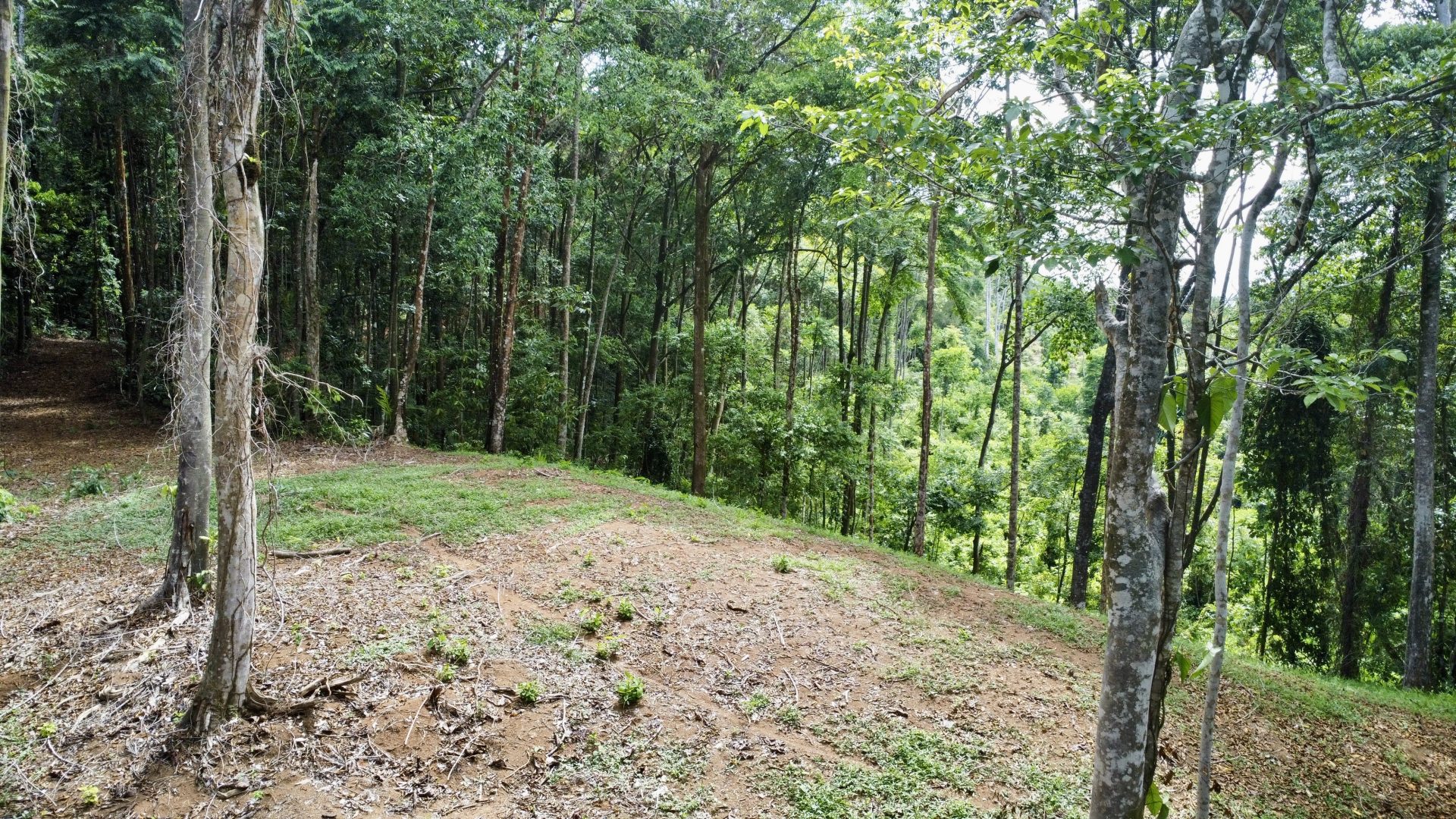 0 bed Land For Sale in Dominical, Puntarenas - thumb 11