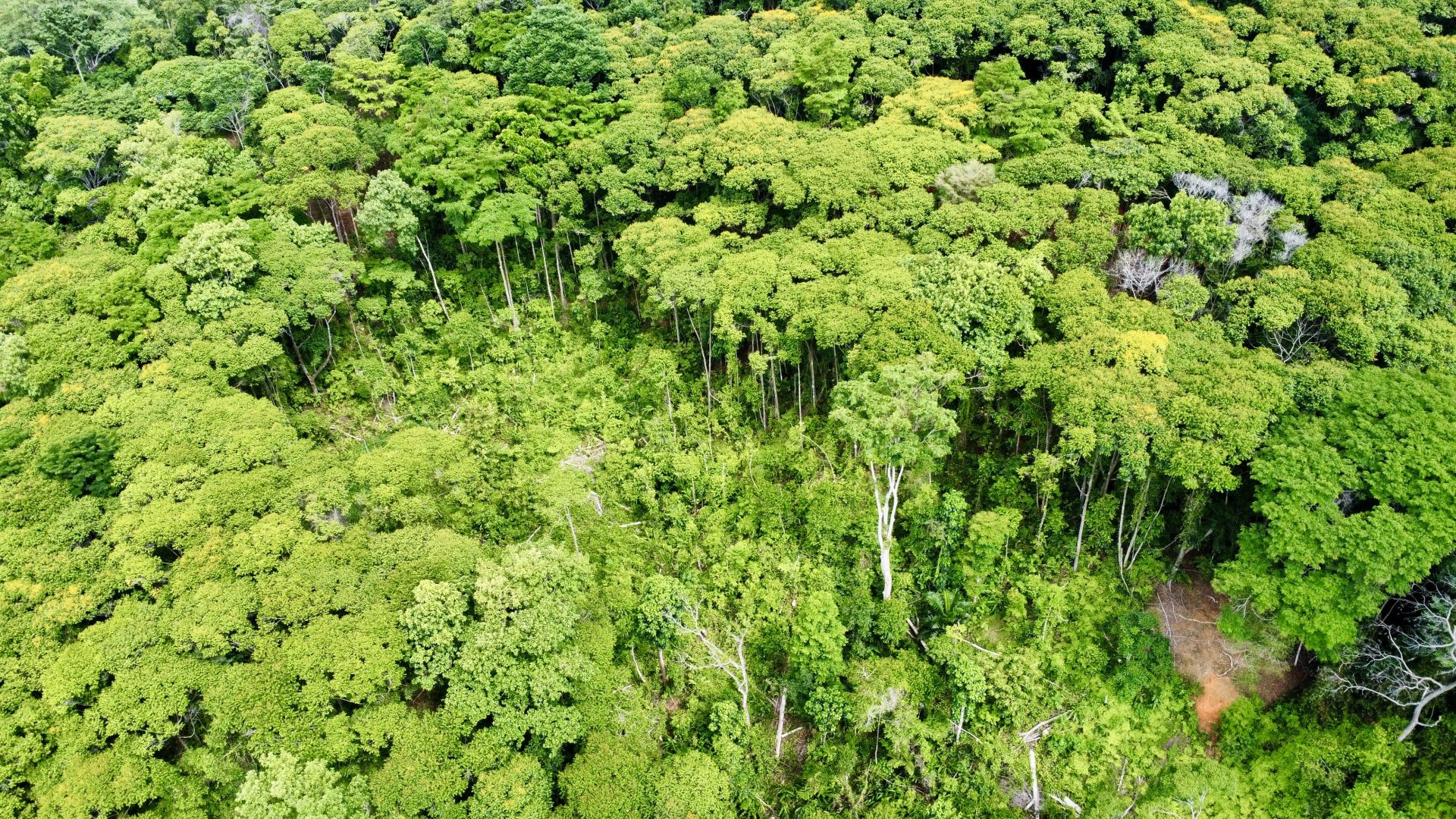 0 bed Land For Sale in Dominical, Puntarenas - thumb 8