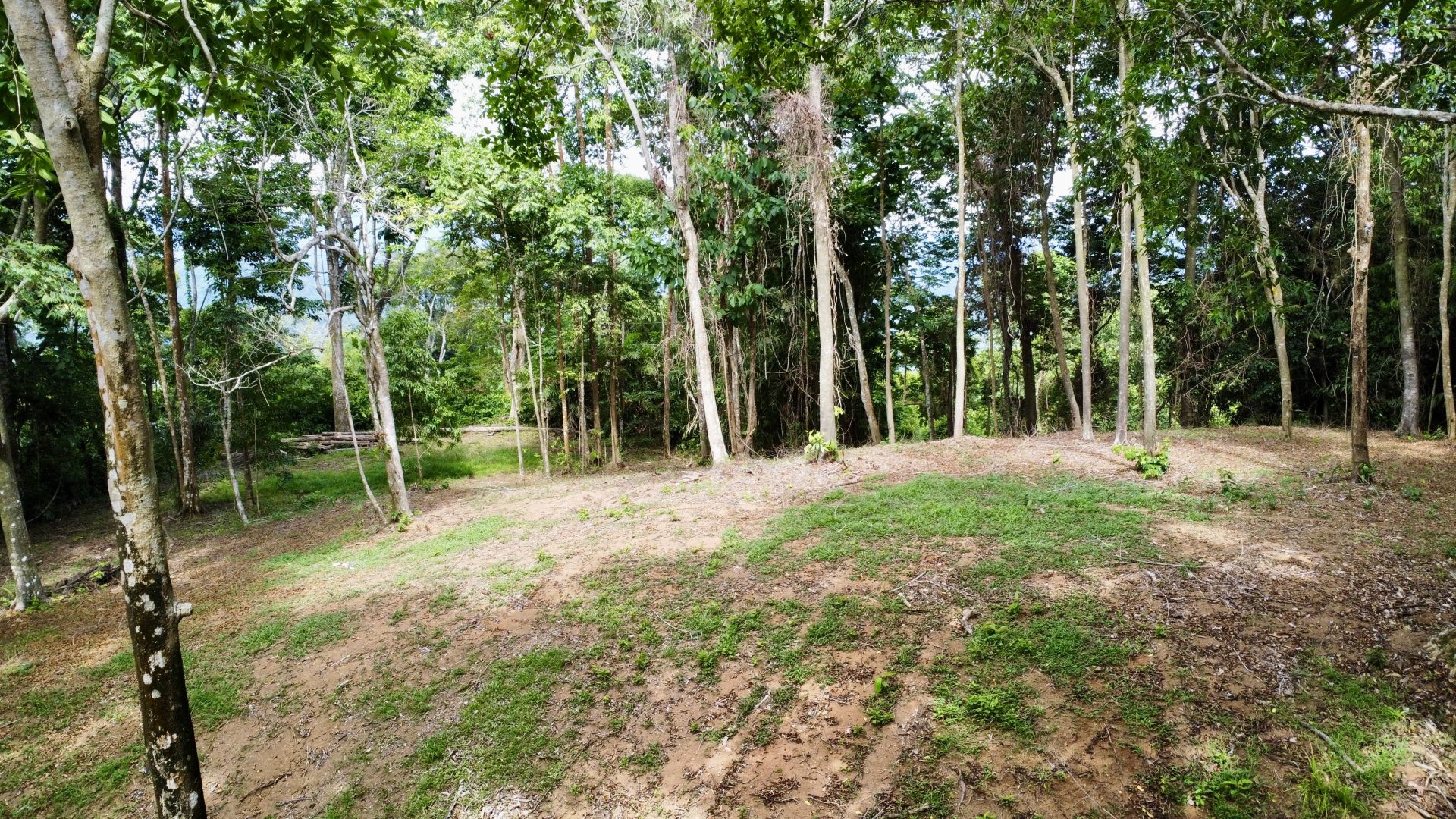 0 bed Land For Sale in Dominical, Puntarenas - thumb 10