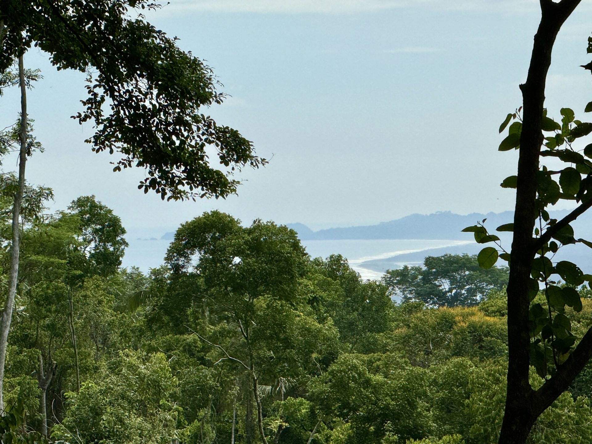 0 bed Land For Sale in Dominical, Puntarenas - thumb 5